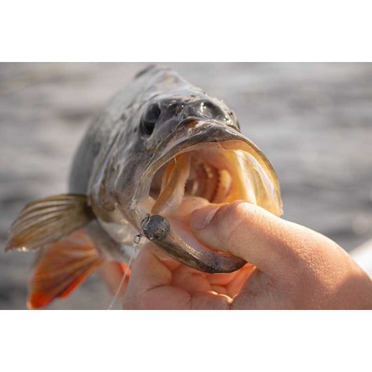 Leurre Souple Fox Rage Scent Shads 13cm