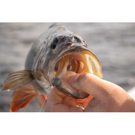 Leurre Souple Fox Rage Scent Shads 13cm