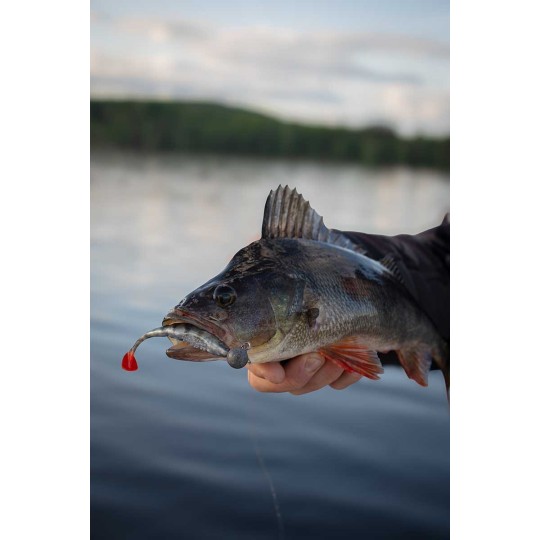 Leurre Souple Fox Rage Scent Shads 13cm