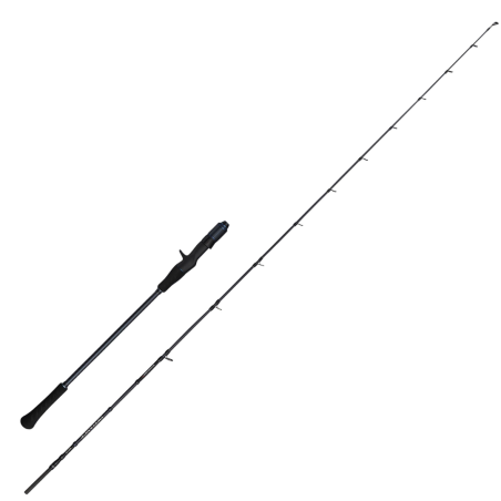 Canne Casting Savage Gear Defiance SG2 Slow Jigging