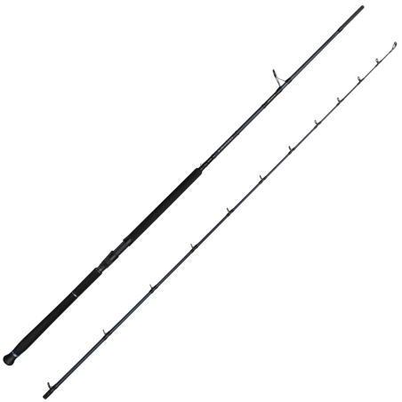 Spinnruten Savage Gear Defiance SG2 Shore Jigging