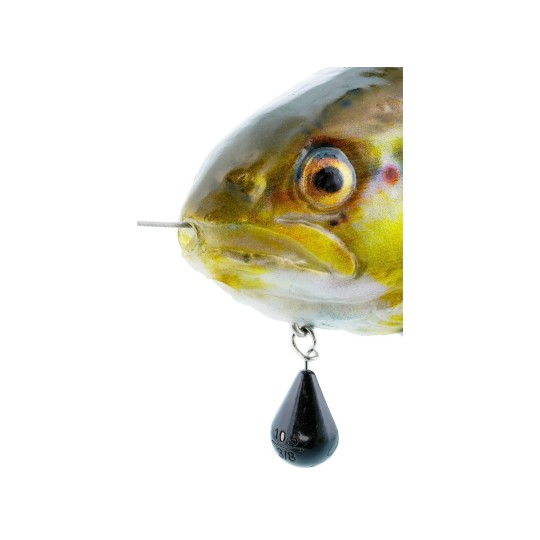 Leurre Souple Westin Tommy The Trout Inline 15cm