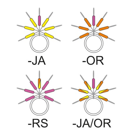 Führer schnur Garbolino Streamline Stix - Führer angelruten