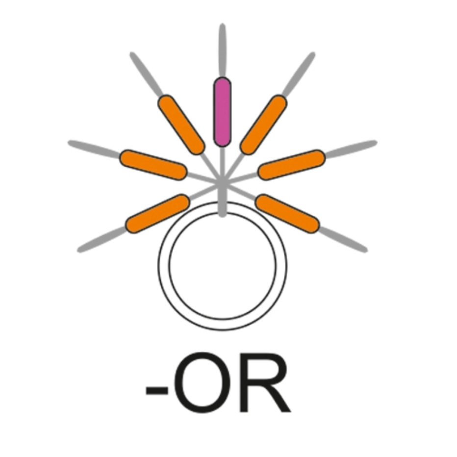 Guide Fil Garbolino Streamline Stix