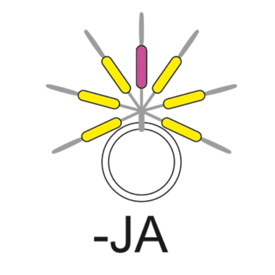 Guide fil Garbolino Streamline Stix - Guide canne
