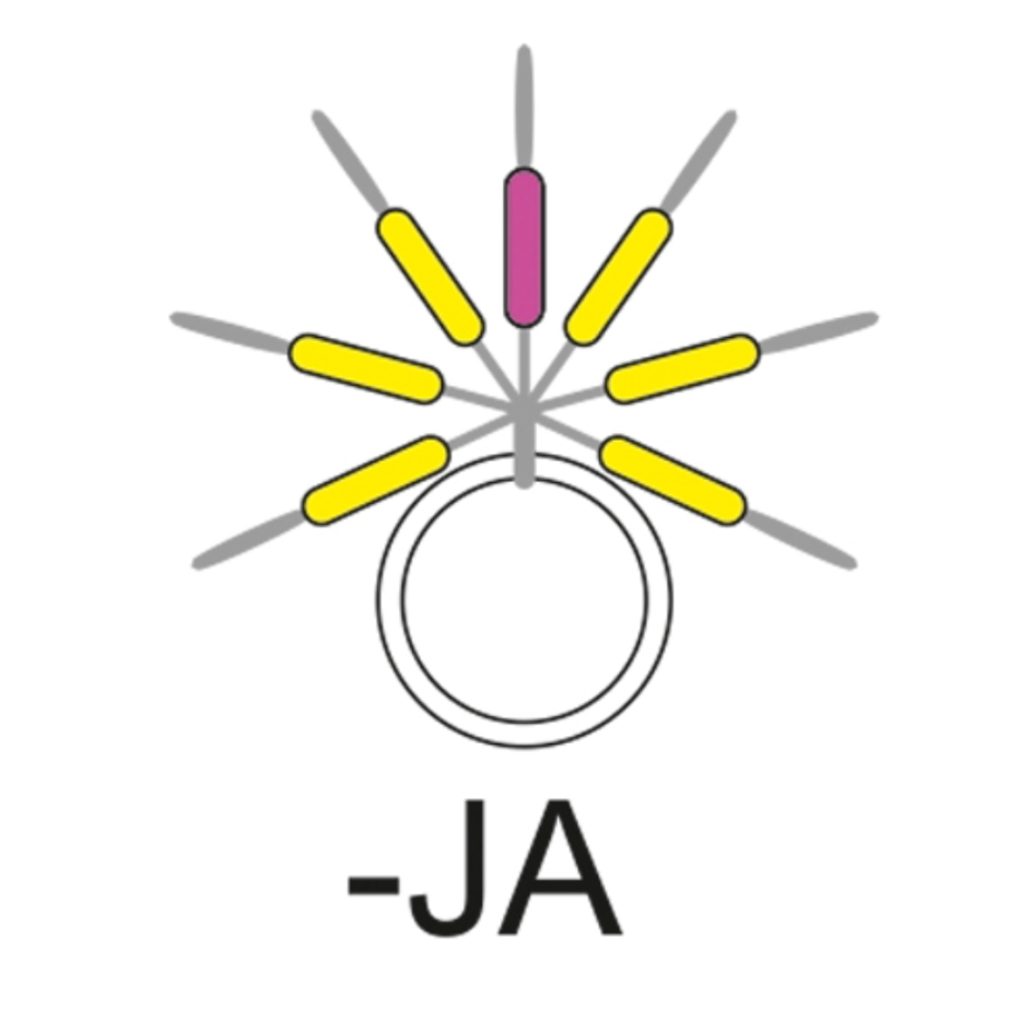 Garbolino Guide Thread Garbolino Streamline Stix