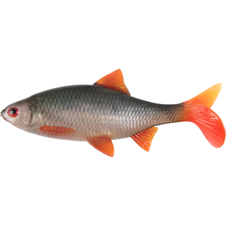 Leurre Souple Fox Rage Ultra Natural Roach