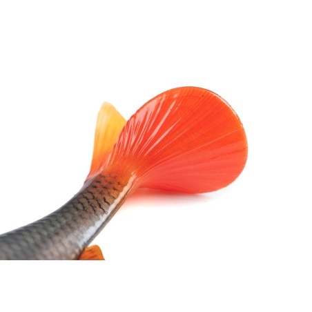 Leurre Souple Fox Rage Ultra Natural Roach