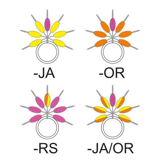 Guía Hilo Garbolino Streamline Drop | Preciso & Duradero