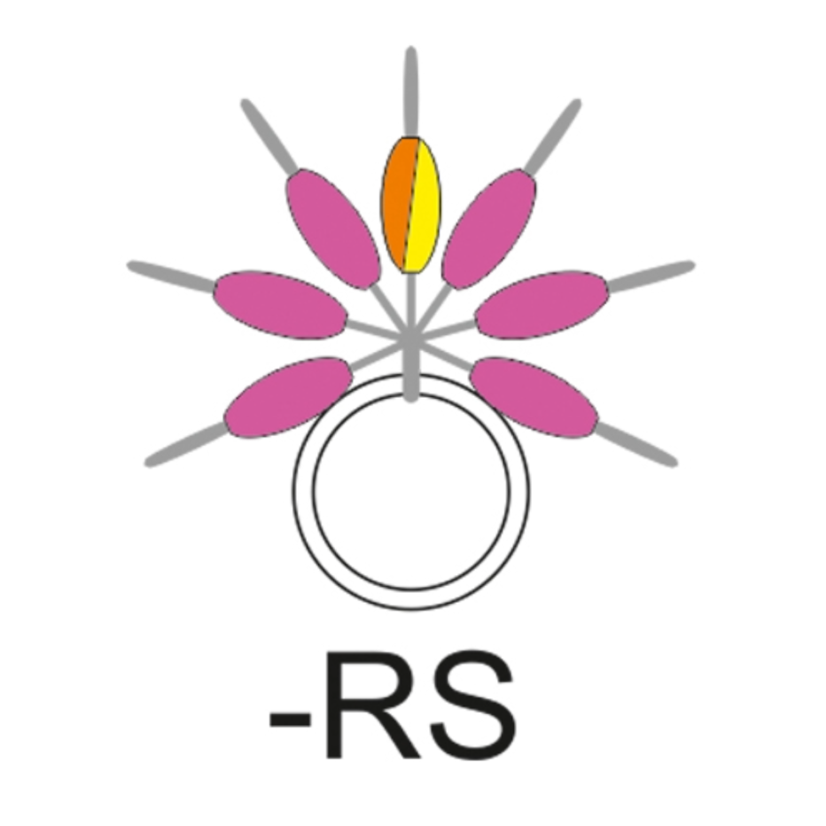 Guide Fil Garbolino Streamline Drop