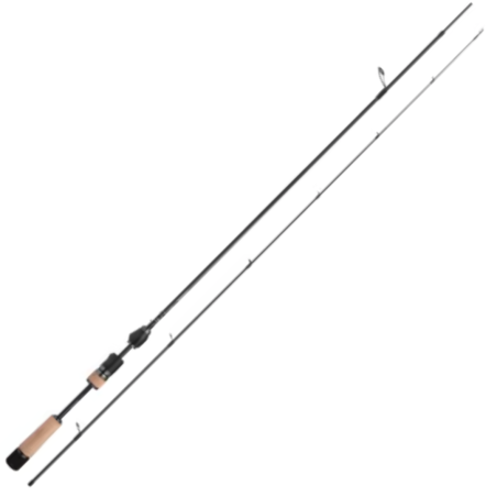 Canne Spinning Shimano Stradic