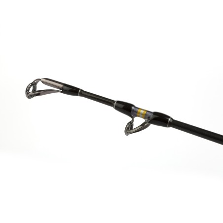 Shimano Tyrnos B Stand Up Spiral - Canne de traîne