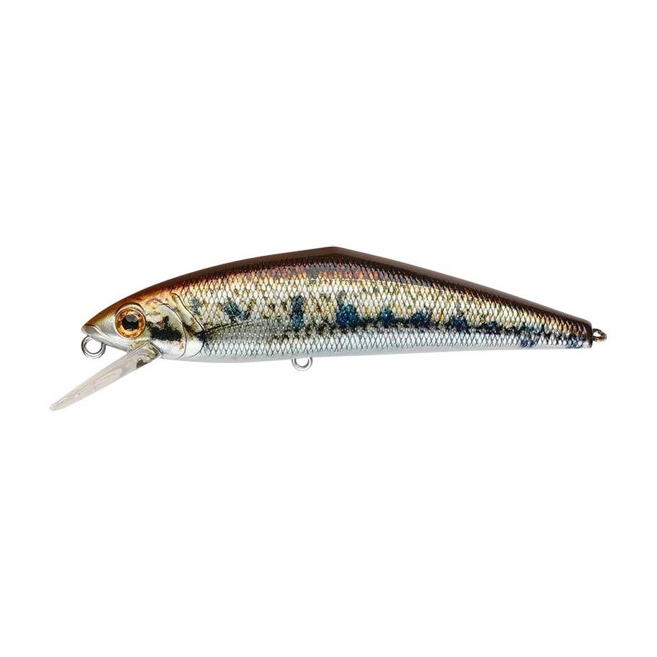 Poisson Nageur Smith D-Contact 50 SP