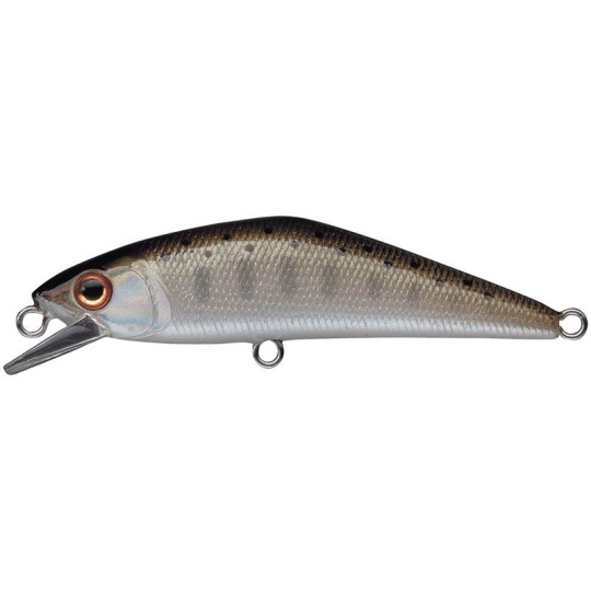 Smith D-Contact 50 Suspending — Trout current & calm waters