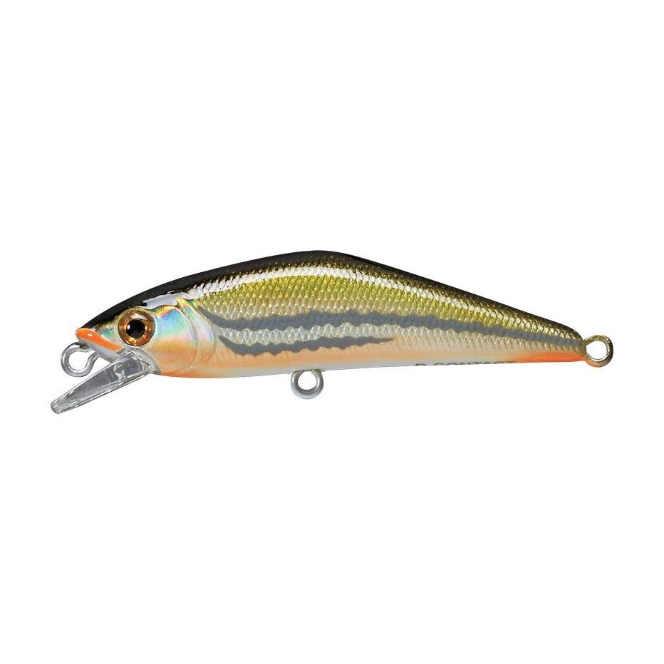 Poisson Nageur Smith D-Contact 50 SP