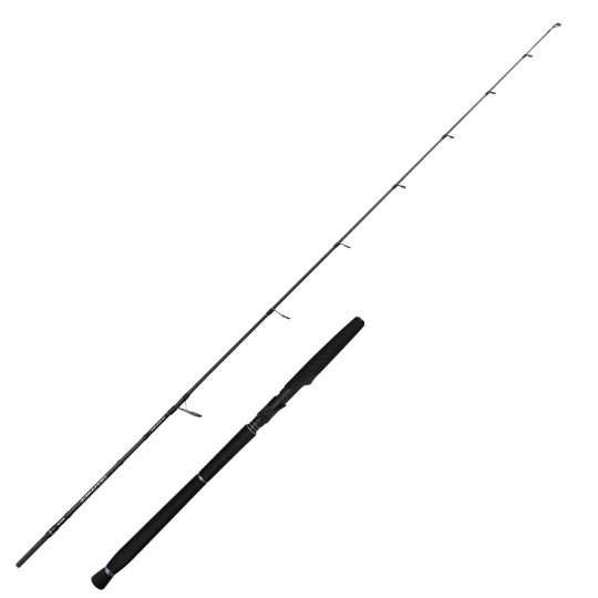 Canne Defiance SG2 Jigging Savage Gear - Spinning