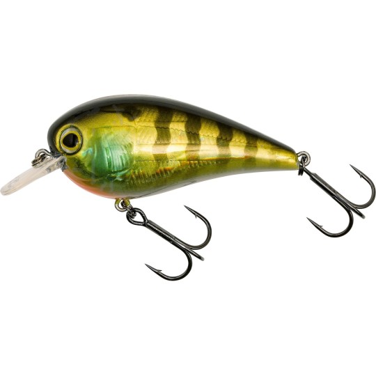 Westin Gift Box Luc Coppens — Box of 4 exclusive lures