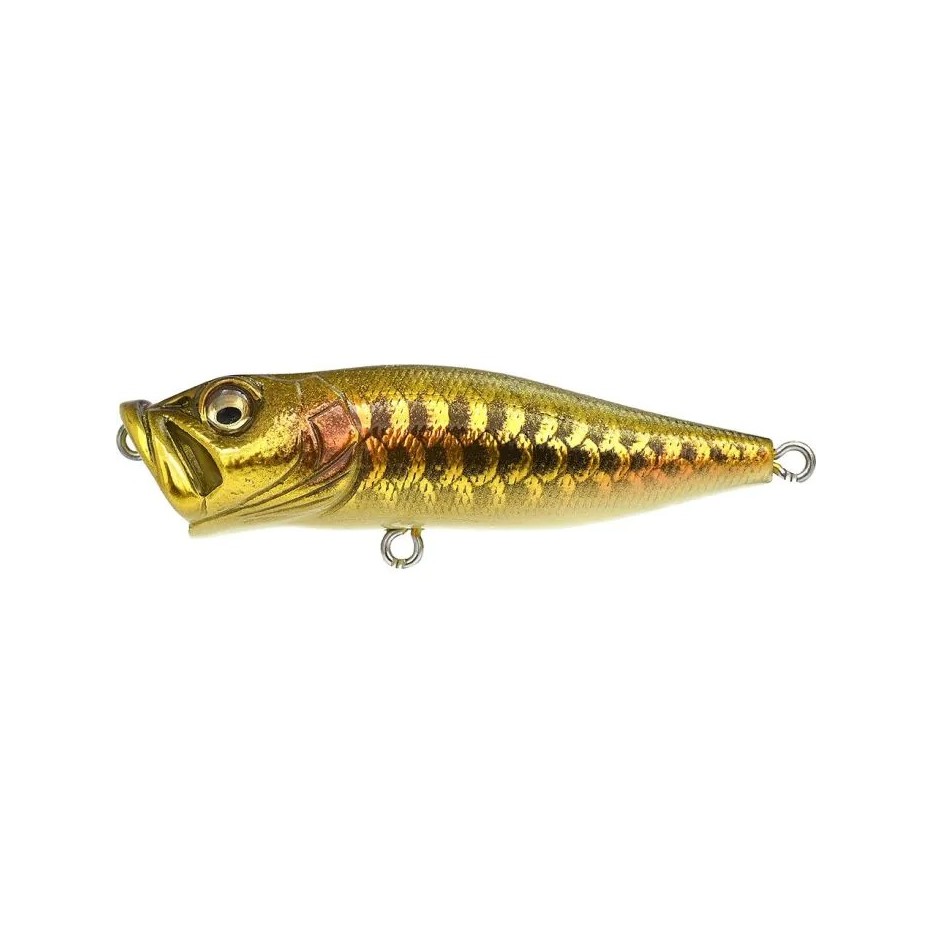 Poisson Nageur Megabass Pop X