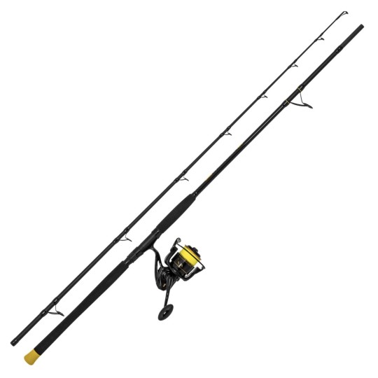 Combo Black Cat Hard Core AllRound pour silure