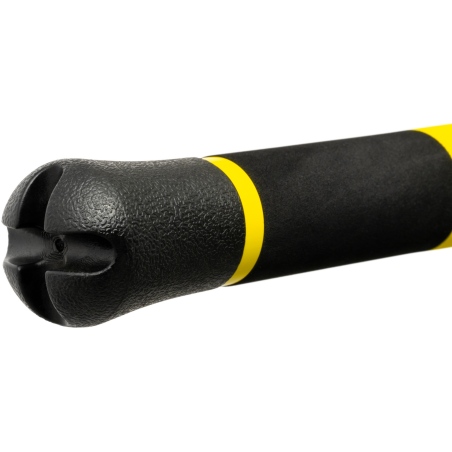 Canne Black Cat Perfect Passion X Spin 260