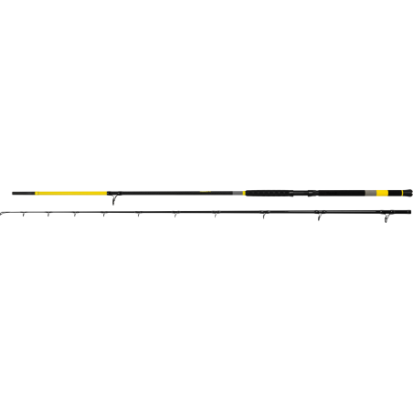 Canne Black Cat Perfect Passion X Longue Distance 330