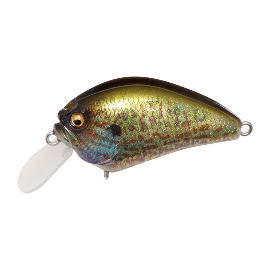 Señuelo Duro Megabass IXI Blowly 4.9cm