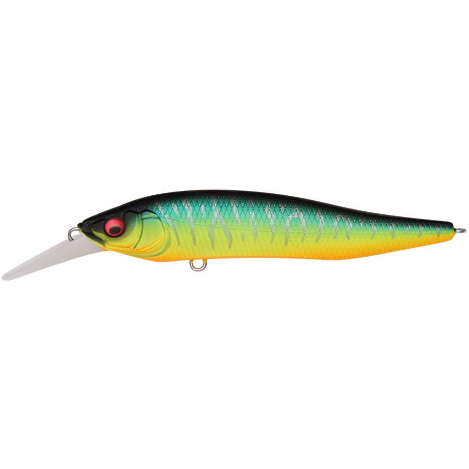 Poisson Nageur Megabass X Nanahan +1