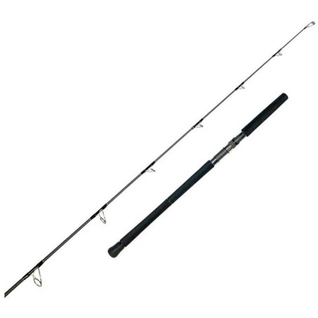 Spinnruten Protone Boot - Popping, Stickbait, Pilker