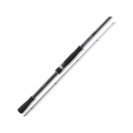 Spinning Rod Graphiteleader Calamaretti | Eging