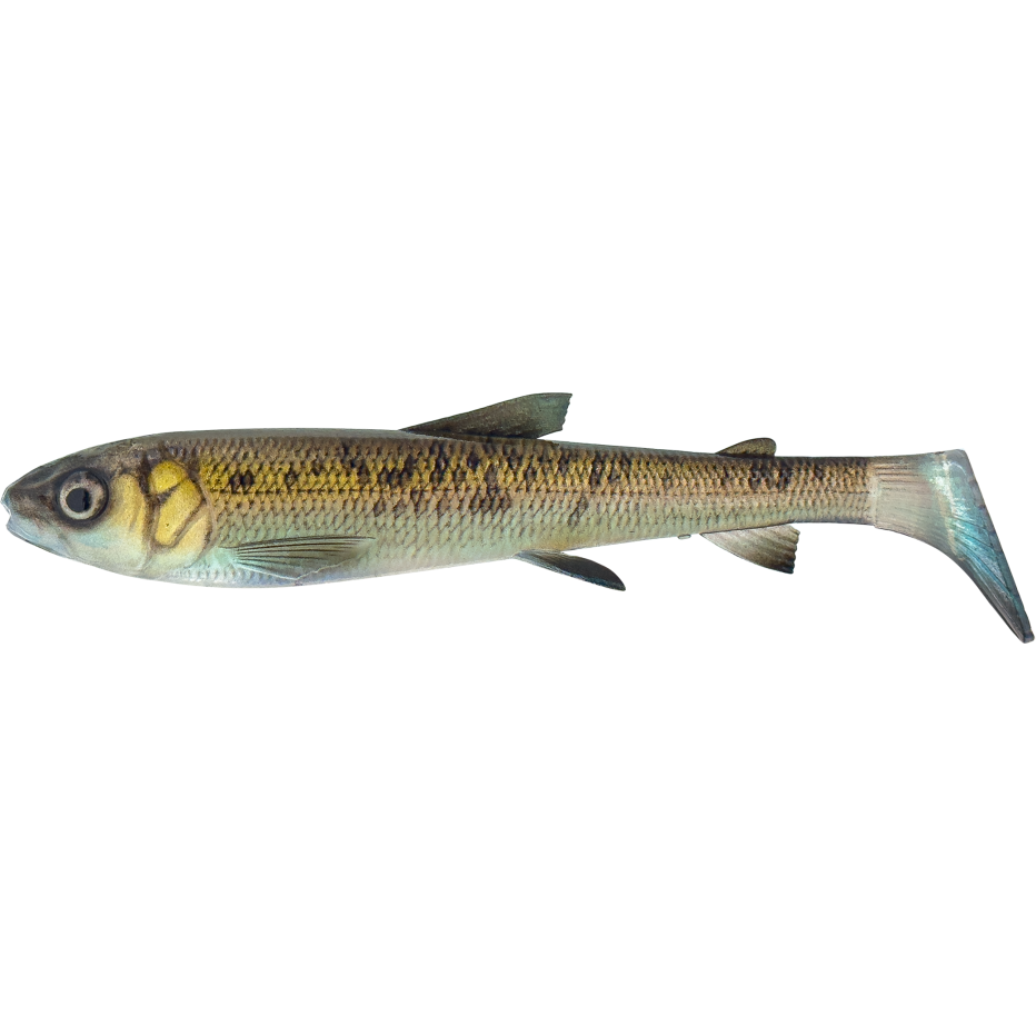 Leurre Souple Savage Gear 3D Whitefish Shad 20cm