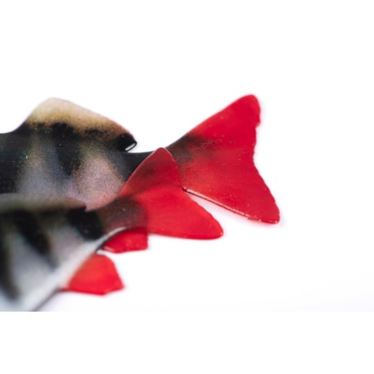 new