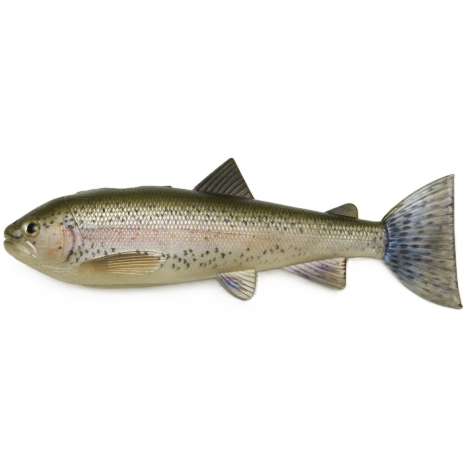 Kunstköder Pulzbait Starter Kit 15cm