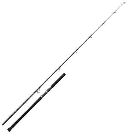 Angelruten Meer Daiwa Salitga Dog Fight Roter Thun
