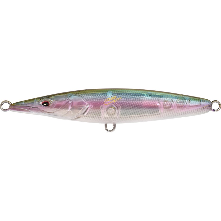 Hard Bait Xorus Asturie 90