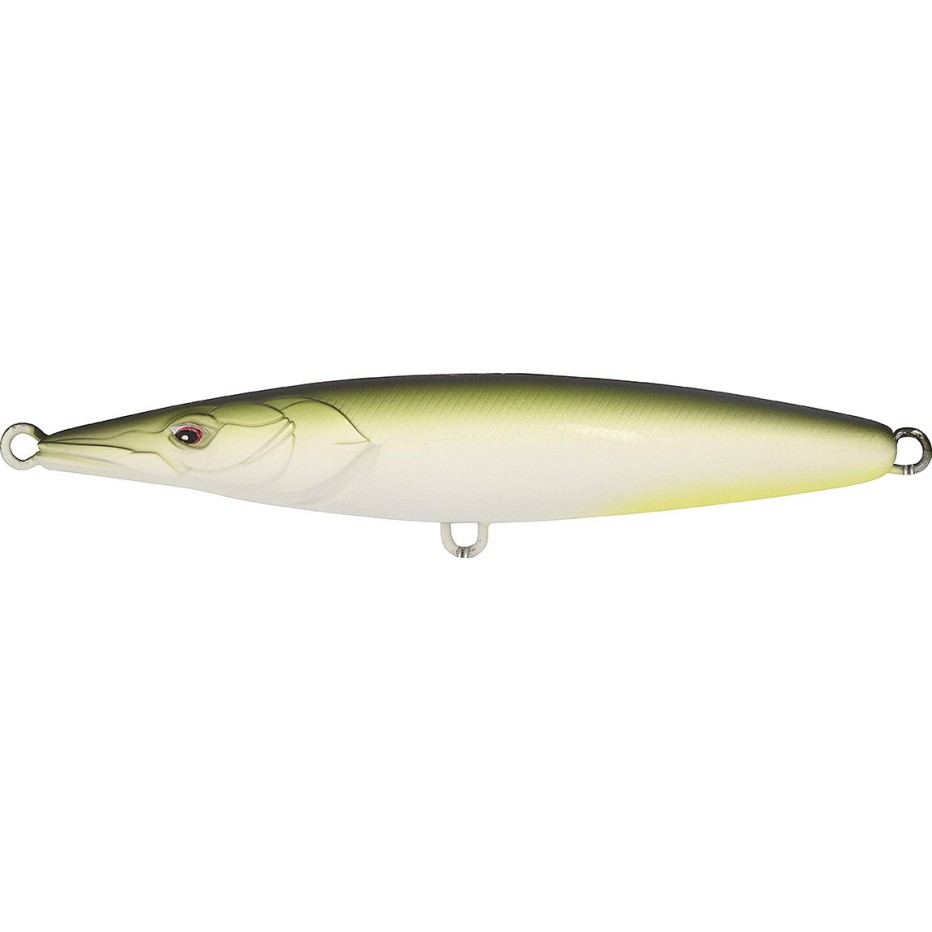 Poisson Nageur Xorus Asturie 90
