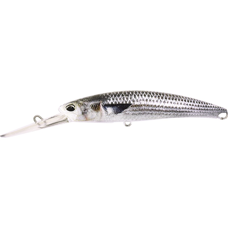 Poisson Nageur Duo International Realis Fangbait 120 DR SW LTD