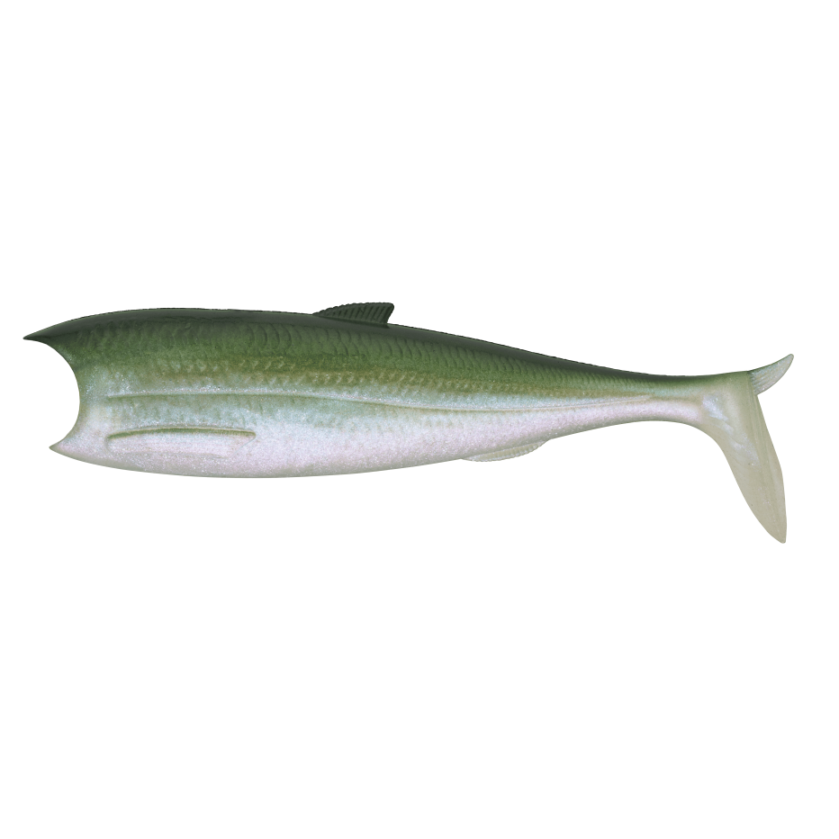 Leurre Souple Sakura Breizh Shad 123