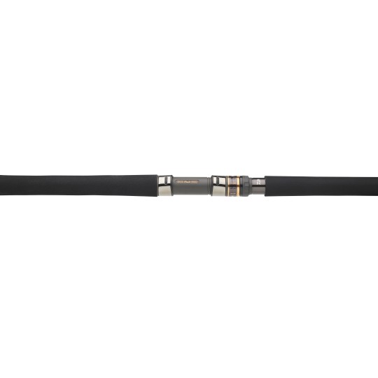 Angelruten Daiwa Saltiga Monster Tuna MT - Spinnen Thunfisch