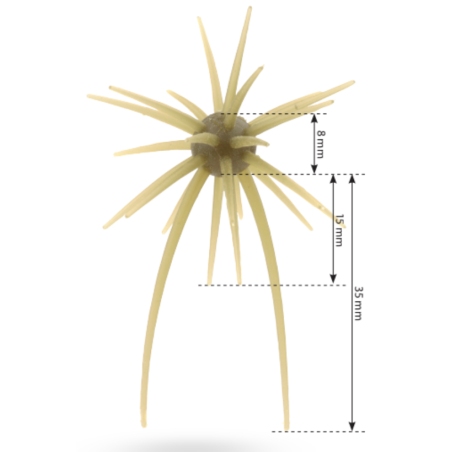 Soft Bait HideUp Coike Mini - Creature