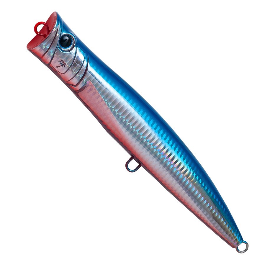 Poisson Nageur Palms Break Head 16,5cm