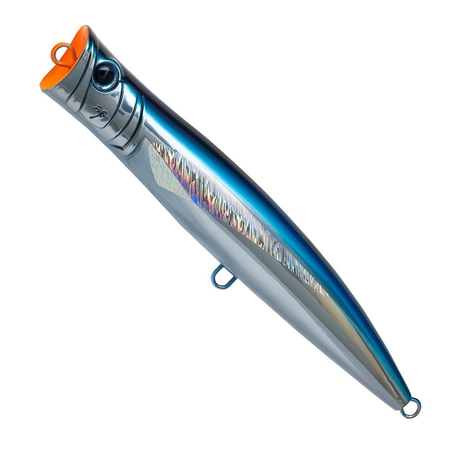 Poisson Nageur Palms Break Head 20cm