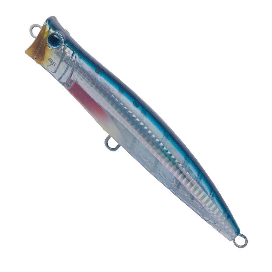 Poisson Nageur Palms Break Head 13,5cm