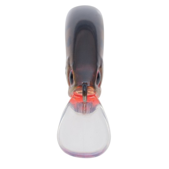Wobbler Palms Alexandra HW 63 - Forelle