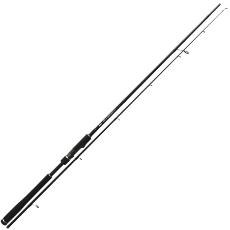Spinnruten Ultimate Fishing Meer Grundlagen - Für den Bass