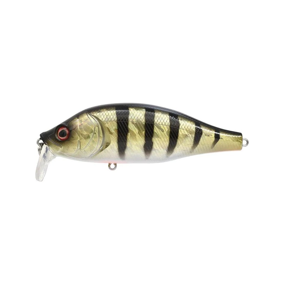 Poisson Nageur Xorus Dango 120 SR
