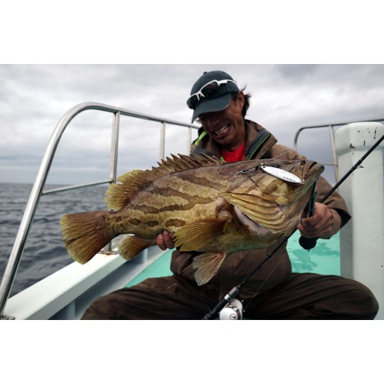 Double Assist Hook Decoy DJ 88 - Hameçons assist jigging
