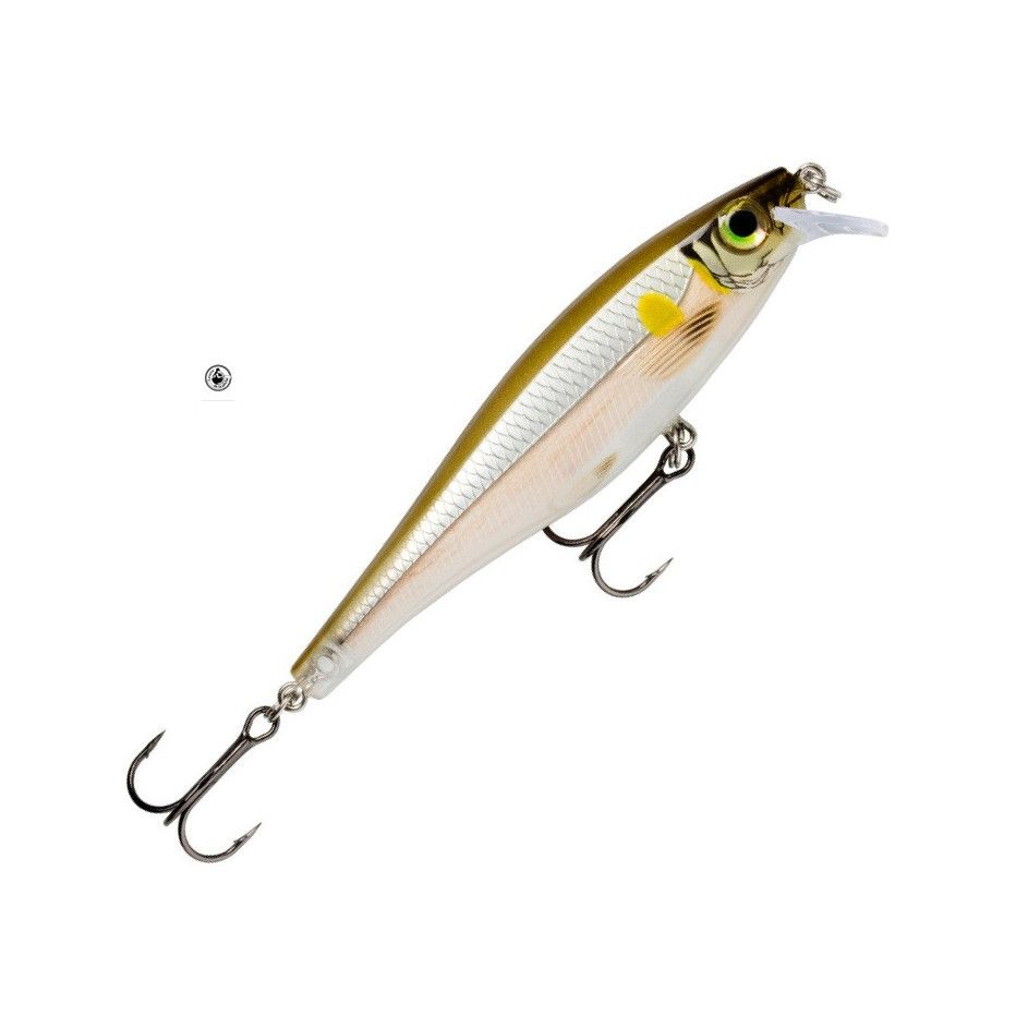 Lure Rapala Bx Minnow 10cm