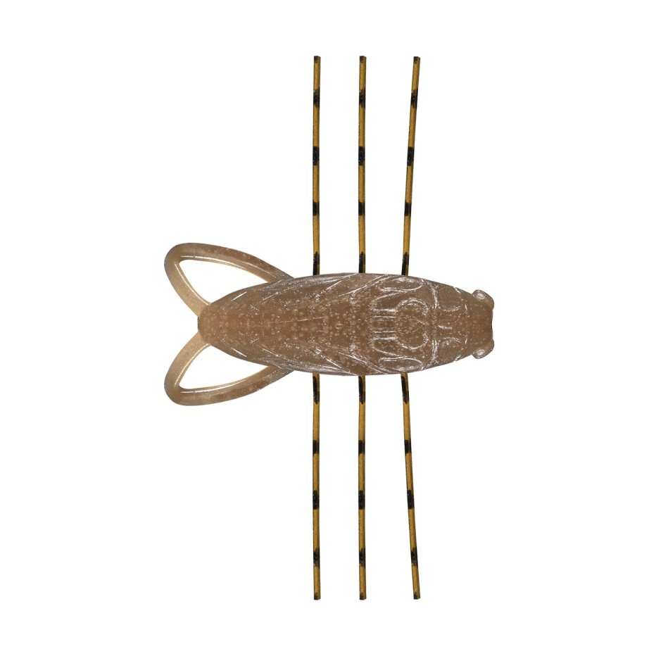 Leurre Souple Reins Insector 1.6" - 4cm