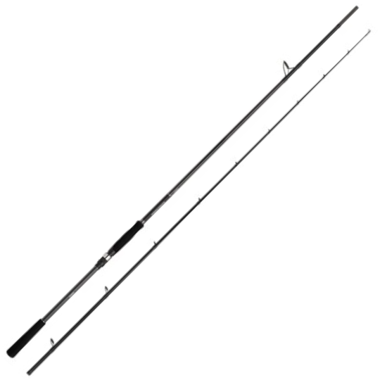 Shimano Bassterra A Power Game Spin | Canne mer