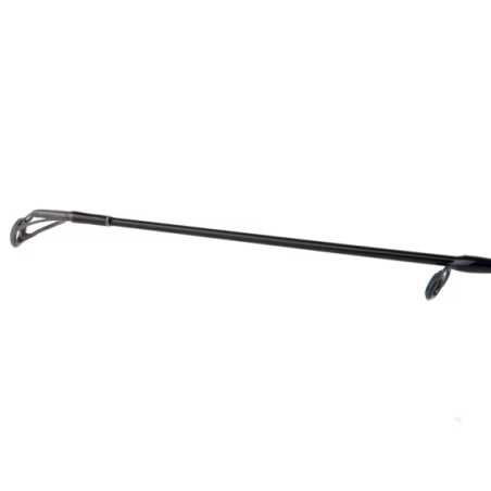 Shimano Bassterra A Power Game Spin | Canne mer